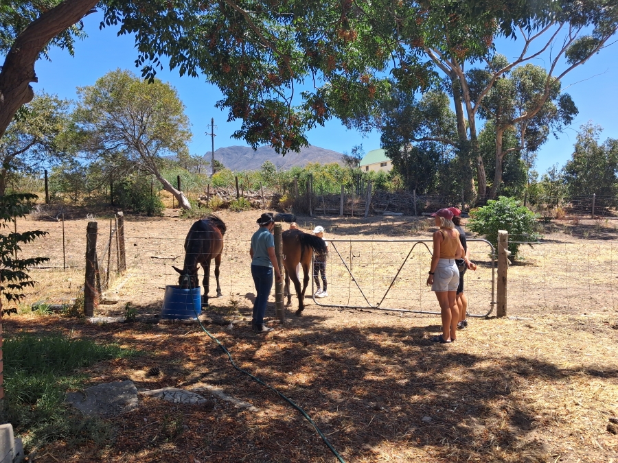 3 Bedroom Property for Sale in Bot River Western Cape